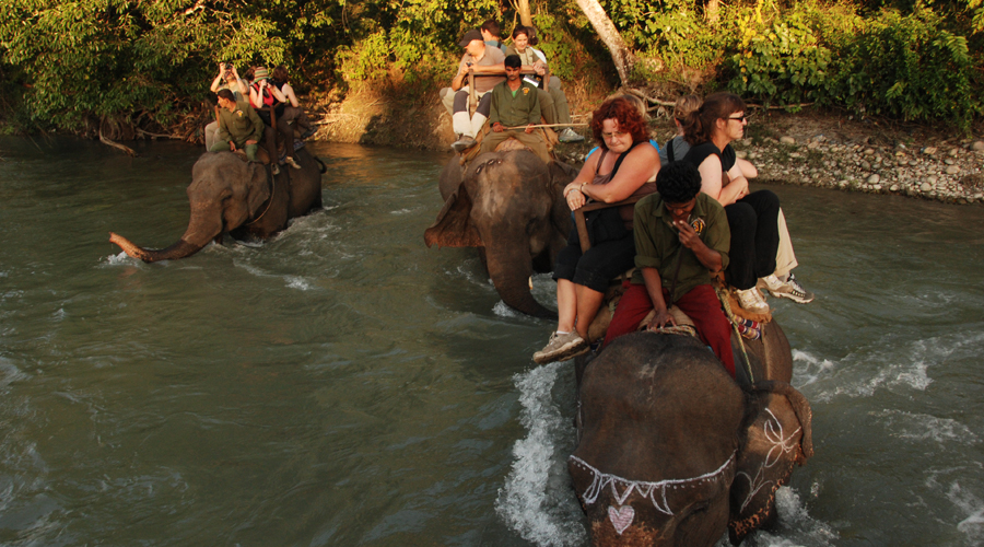 jungle safari in Nepal