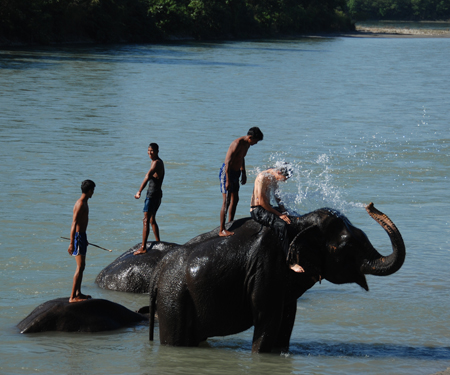 Glimpses of Nepal 08 days 